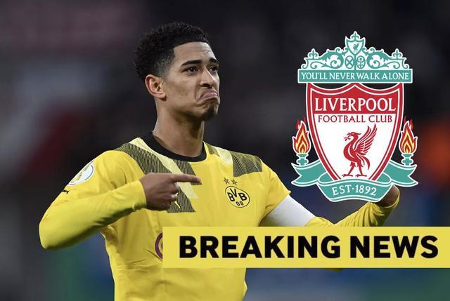 新生代骑手展锋芒！2025中国自由式小轮车联赛（深圳•光明站）收官